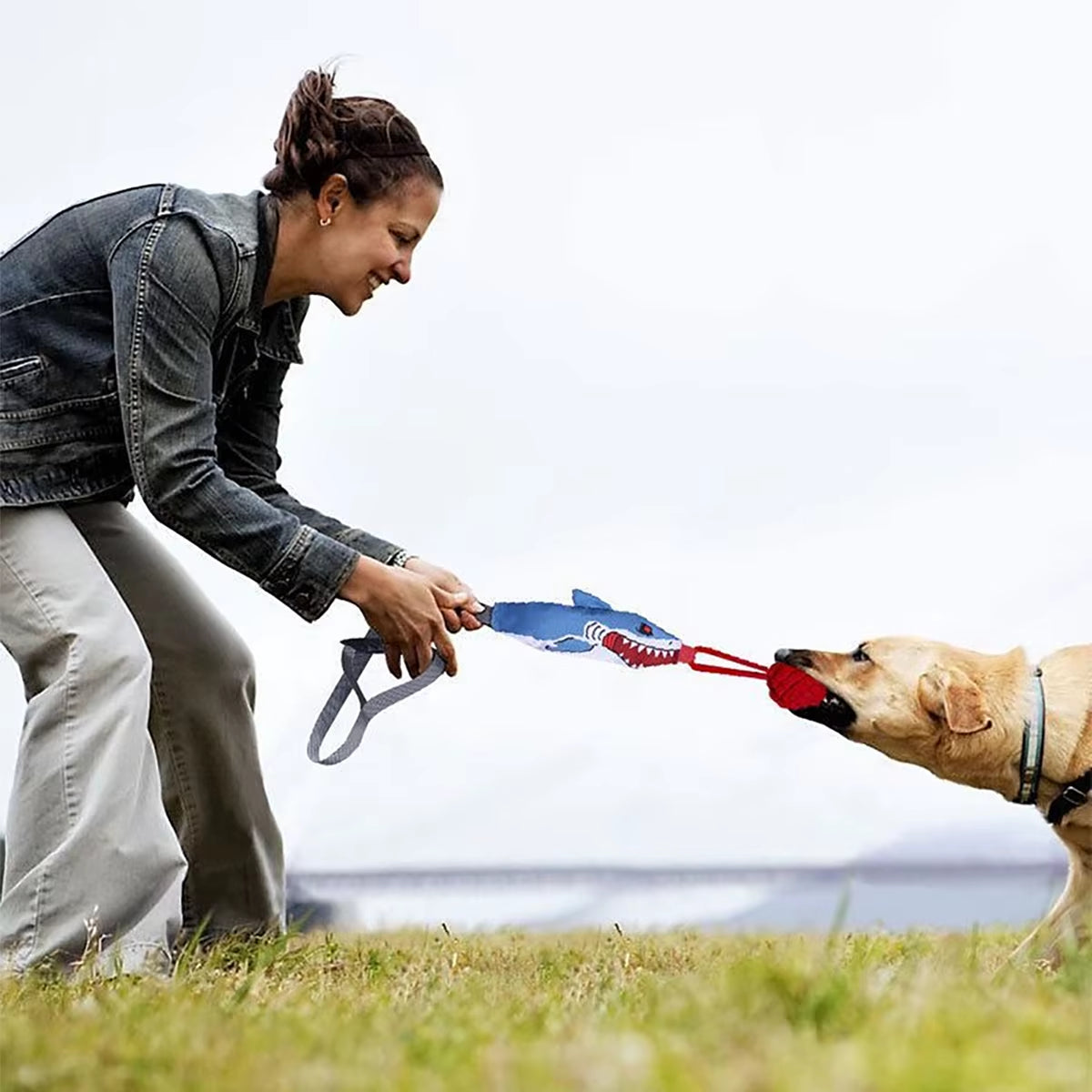 Interactive Outdoor Knot Pulling Dog Toy Tug of War Chewable Exercise Game Rope for Fun Tree Stump Pulling Sound Effect